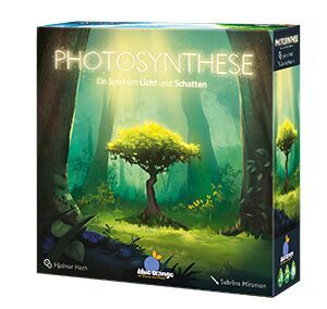 Photosynthese: Ein Spiel um Licht und Schatten